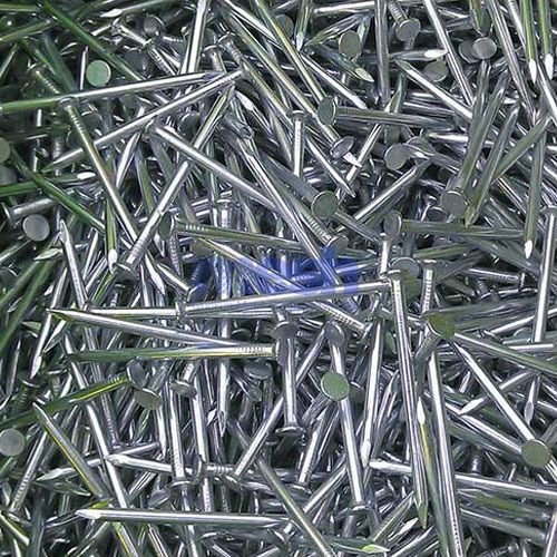 GI Nails / Wire Nails / Plywood Nails